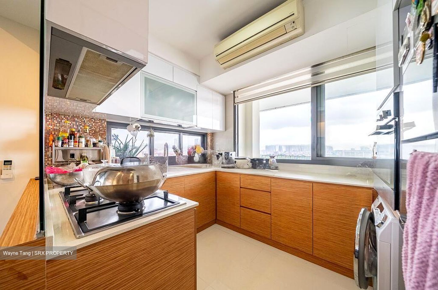 Sky Habitat (D20), Condominium #476958801